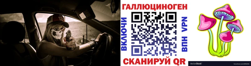 Галлюциногенные грибы Psilocybine cubensis  Макушино 